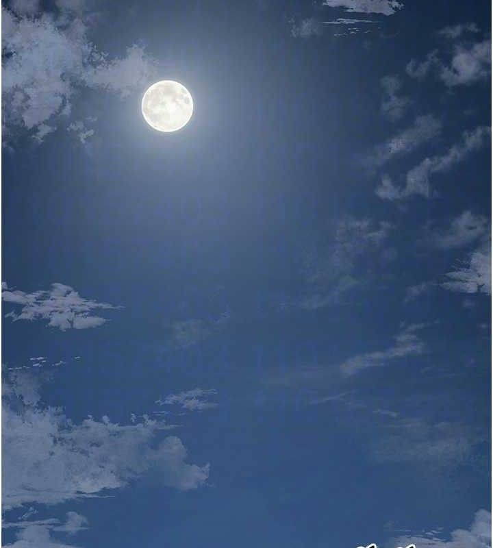 120P - 花容湿色:取花点