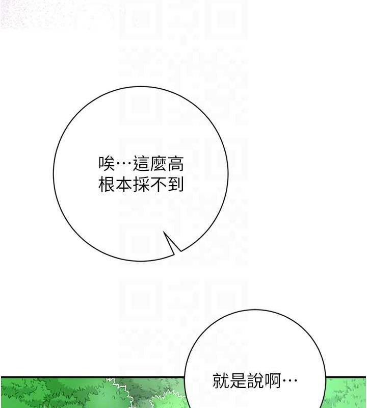 74P - 花容湿色:取花点