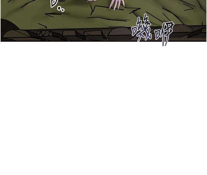 36P - 花容湿色:取花点