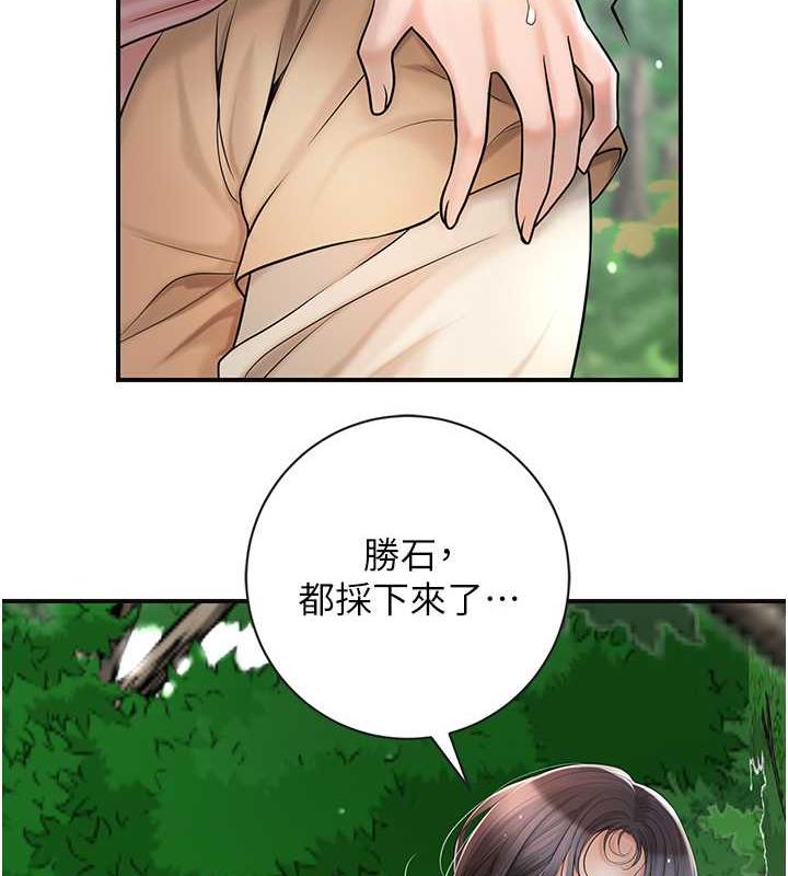 11P - 花容湿色:取花点