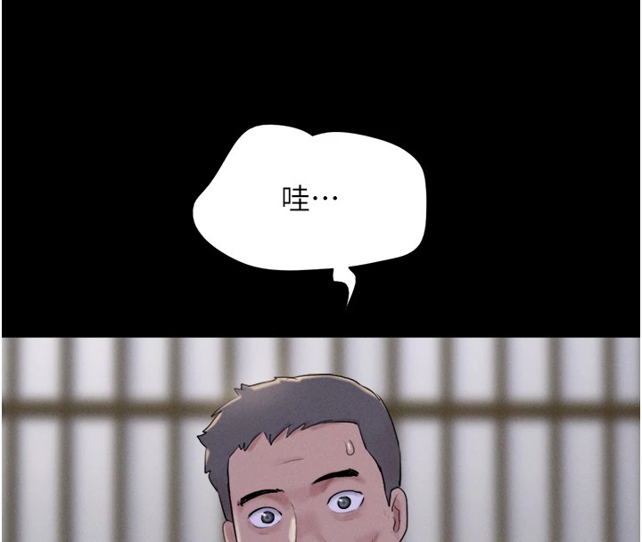 137P - 韶恩