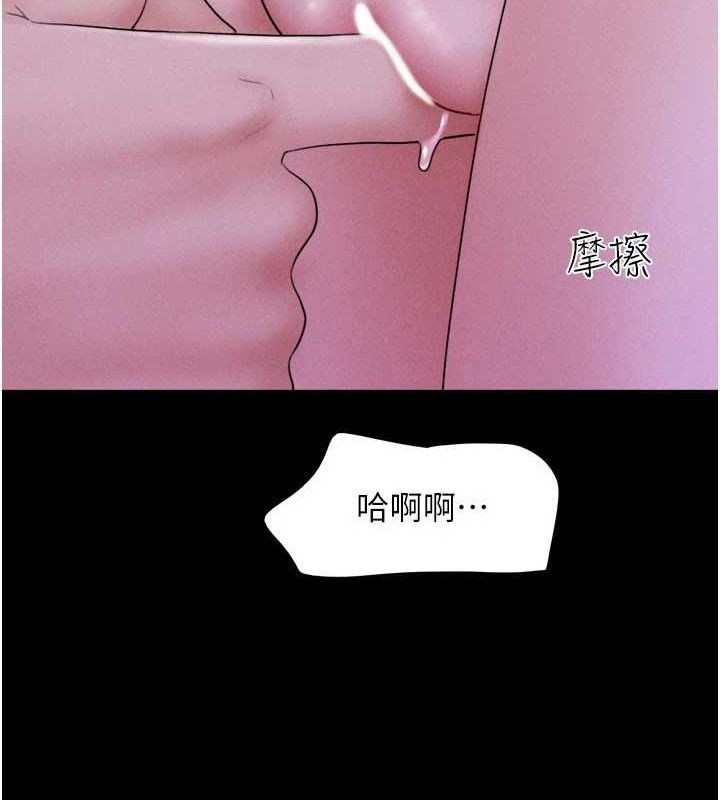 41P - 韶恩