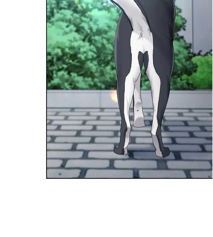 8P - Set up!排球少女