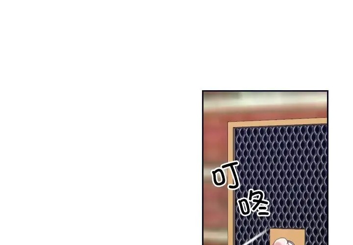 46P - 寻找初恋