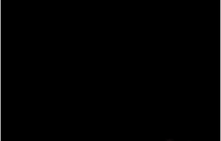 89P - 老板娘的诱惑
