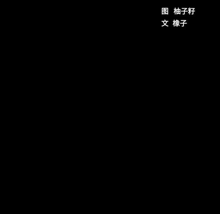 13P - 房产姐妹花
