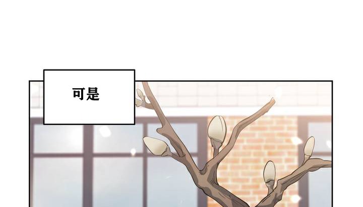 81P - 幸运的男人