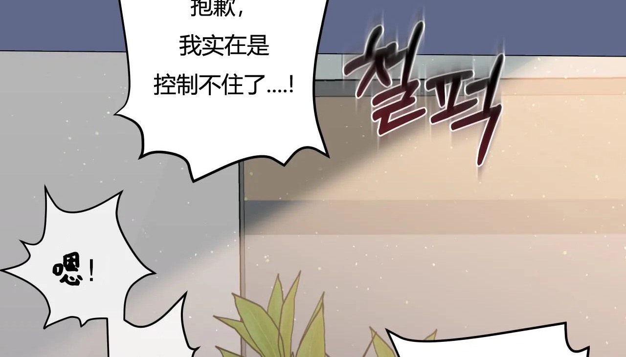 146P - 幸运的男人
