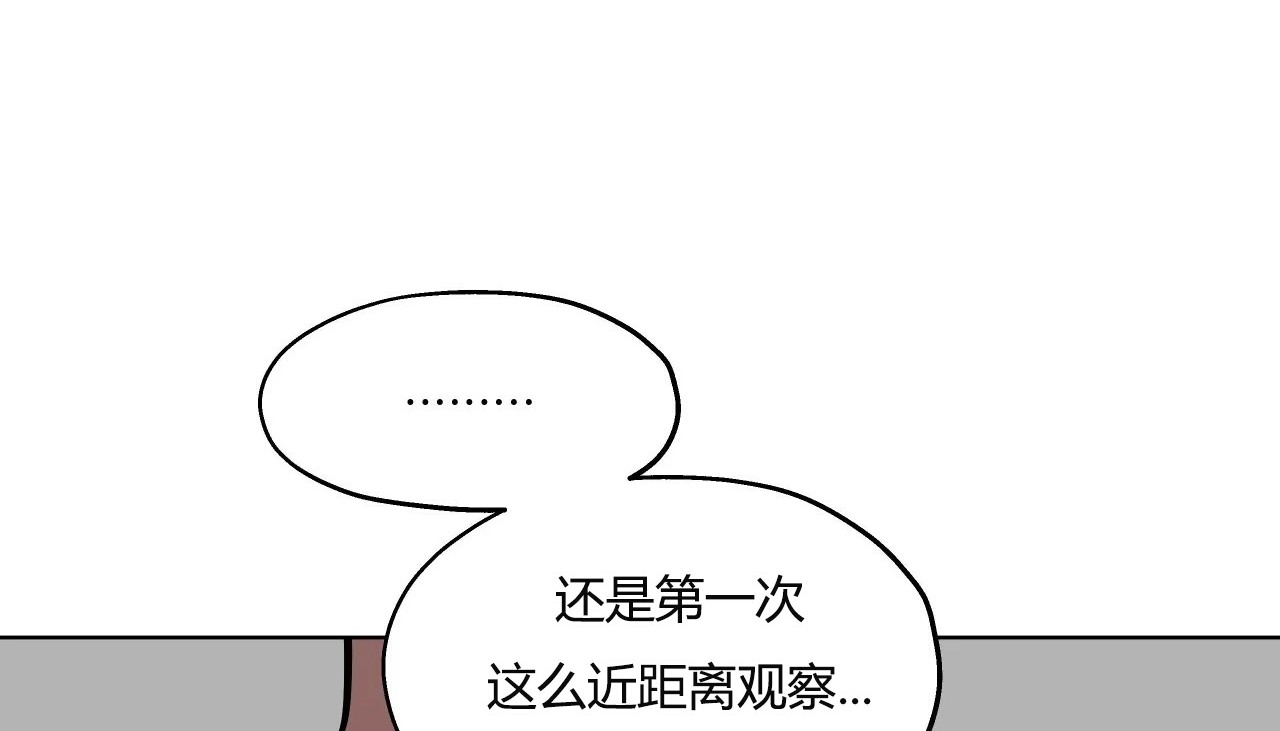 84P - 幸运的男人