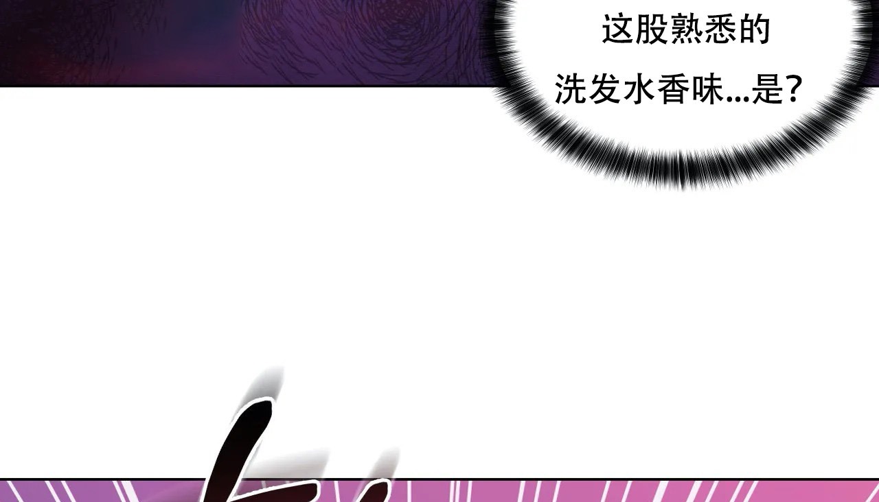 29P - 幸运的男人