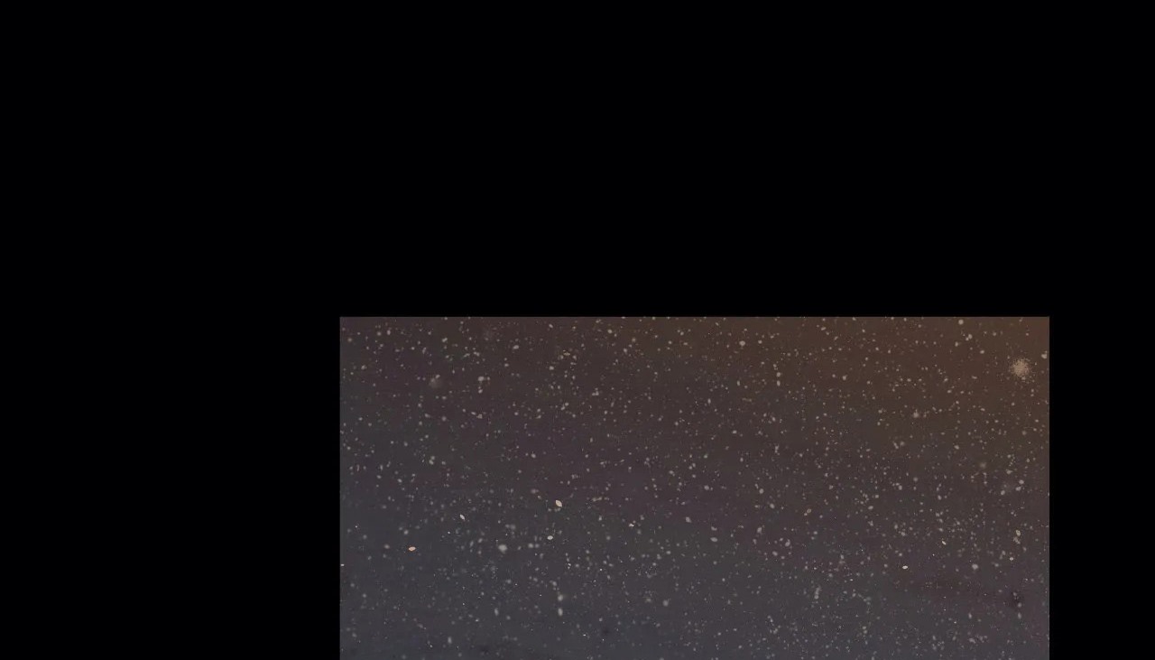 67P - 幸运的男人
