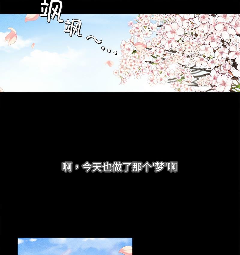 24P - 狂眼