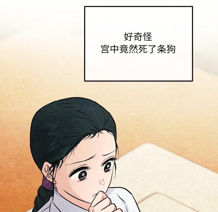 24P - 狂眼