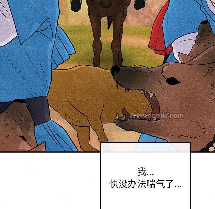 14P - 狂眼