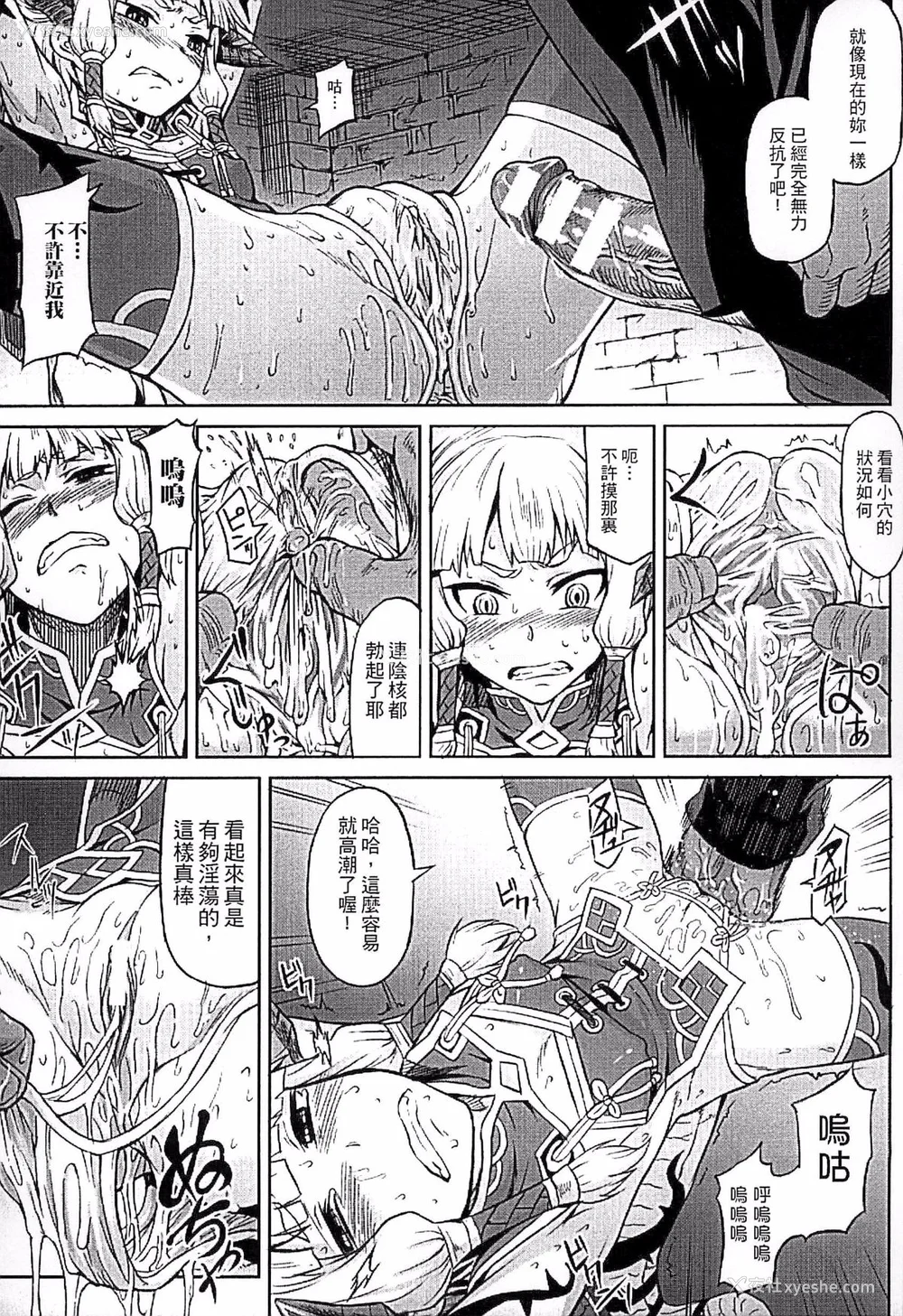 12P - [タケ]淫堕隷辱 [中国翻訳][疏码]