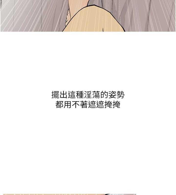 7P - 糖果爸爸的抢婚大作战
