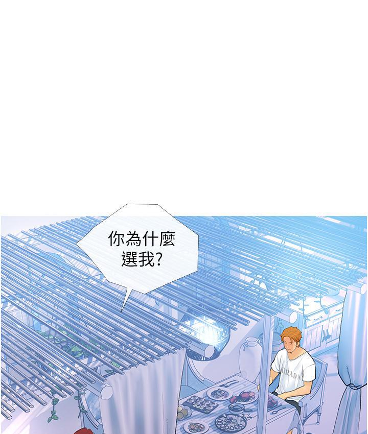 43P - 糖果爸爸的抢婚大作战