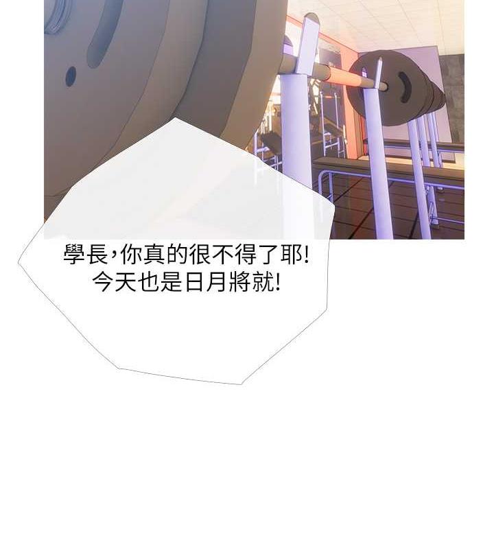 34P - 糖果爸爸的抢婚大作战