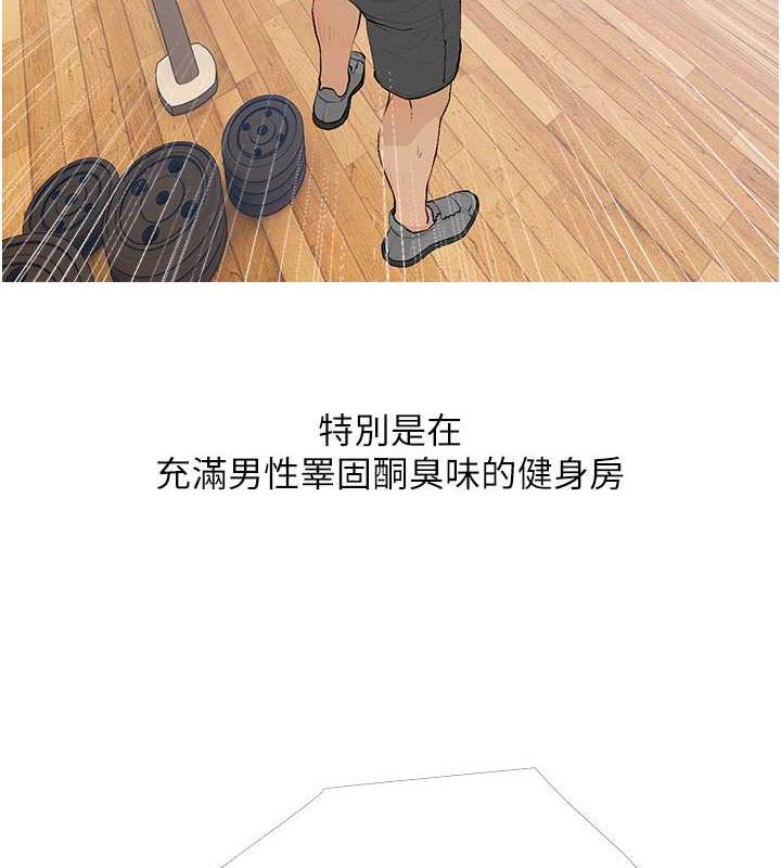 53P - 糖果爸爸的抢婚大作战