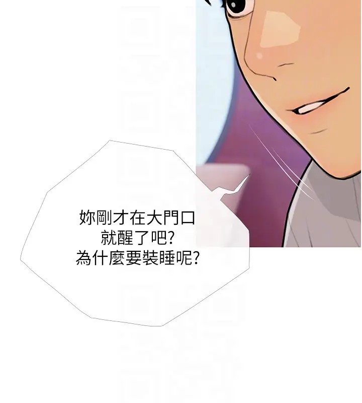 19P - 糖果爸爸的抢婚大作战
