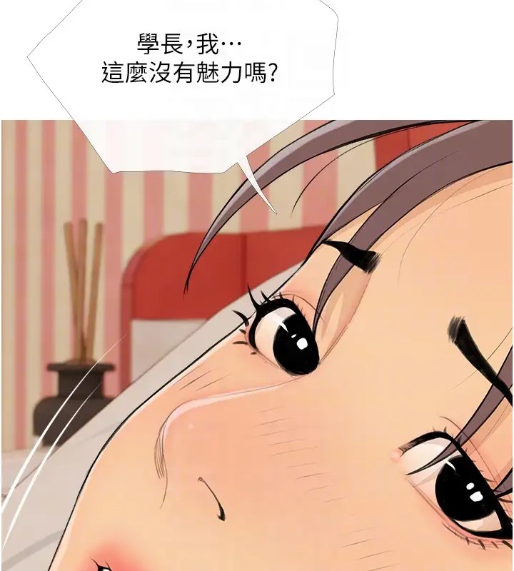48P - 糖果爸爸的抢婚大作战