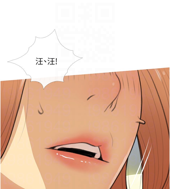 111P - 糖果爸爸的抢婚大作战