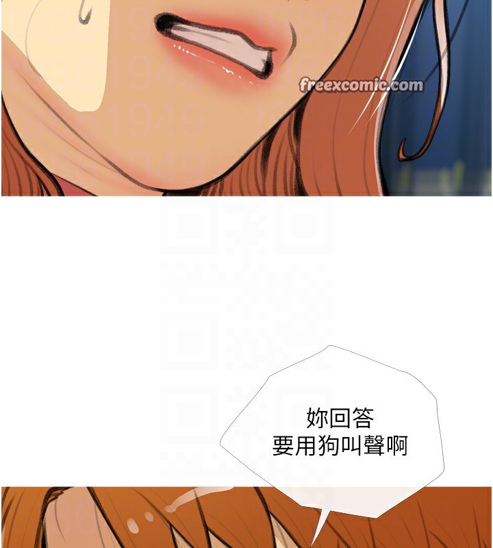 75P - 糖果爸爸的抢婚大作战