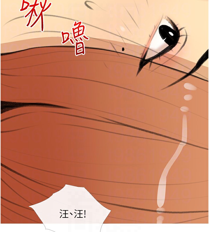 97P - 糖果爸爸的抢婚大作战