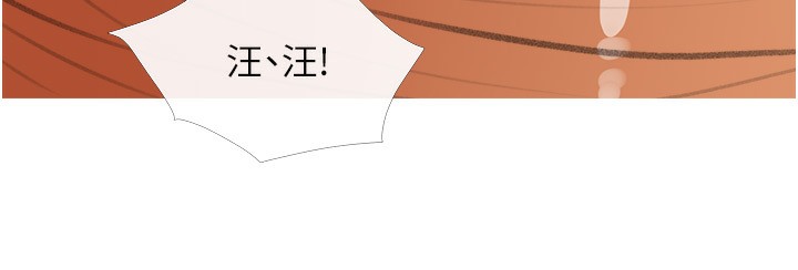 14P - 糖果爸爸的抢婚大作战