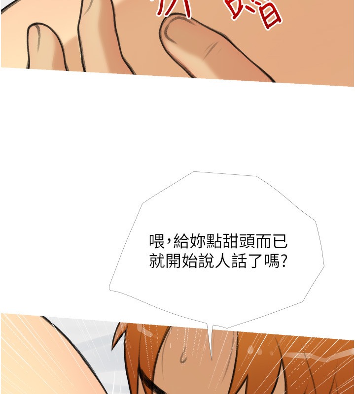 25P - 糖果爸爸的抢婚大作战