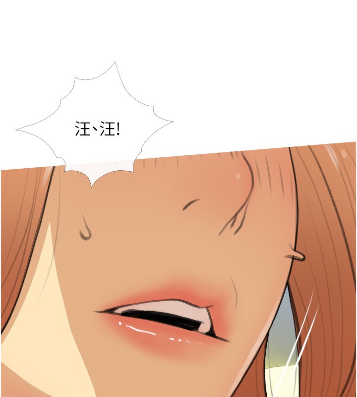 27P - 糖果爸爸的抢婚大作战