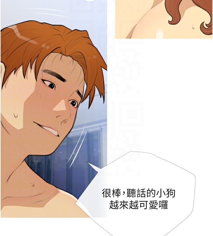 77P - 糖果爸爸的抢婚大作战