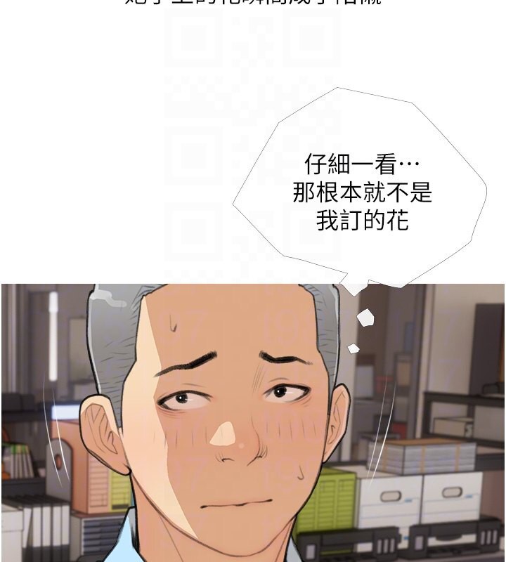 97P - 糖果爸爸的抢婚大作战