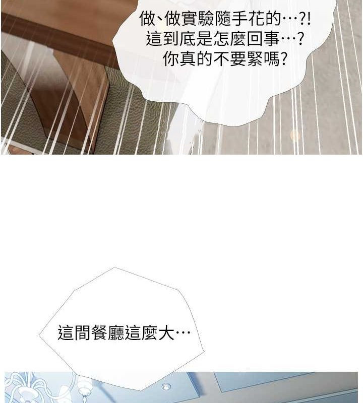 39P - 糖果爸爸的抢婚大作战