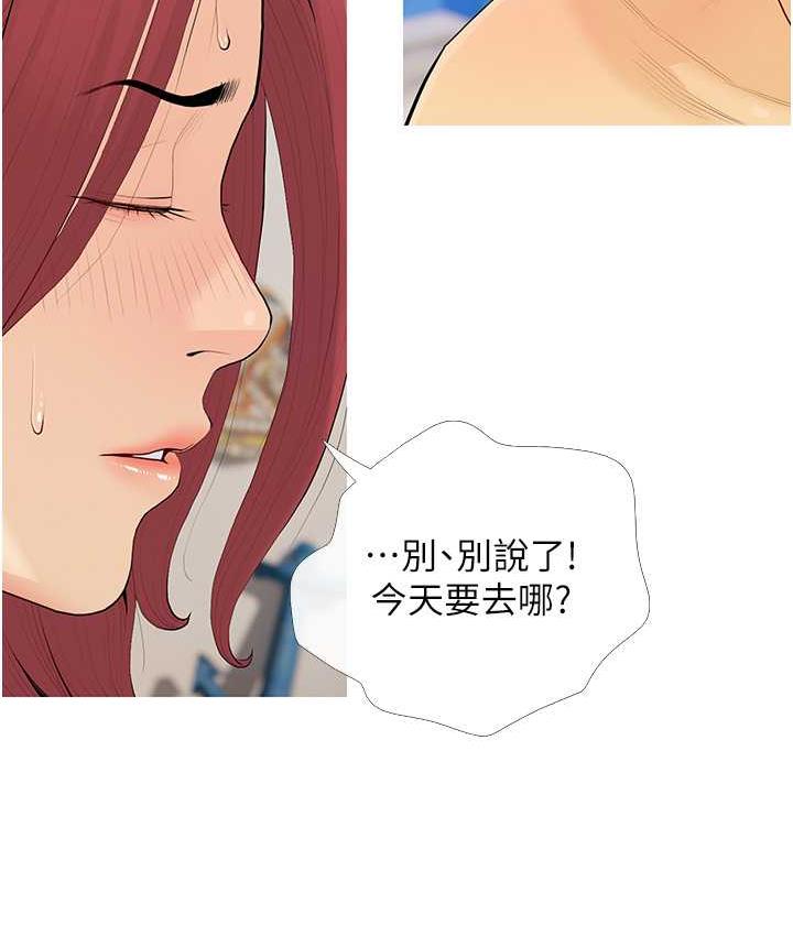 12P - 糖果爸爸的抢婚大作战
