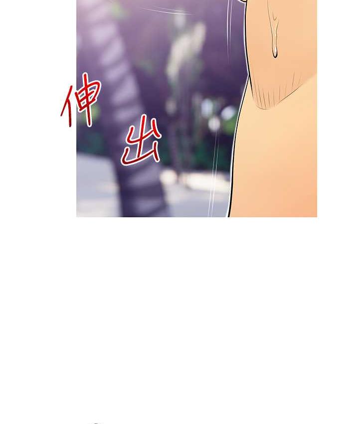 52P - 糖果爸爸的抢婚大作战