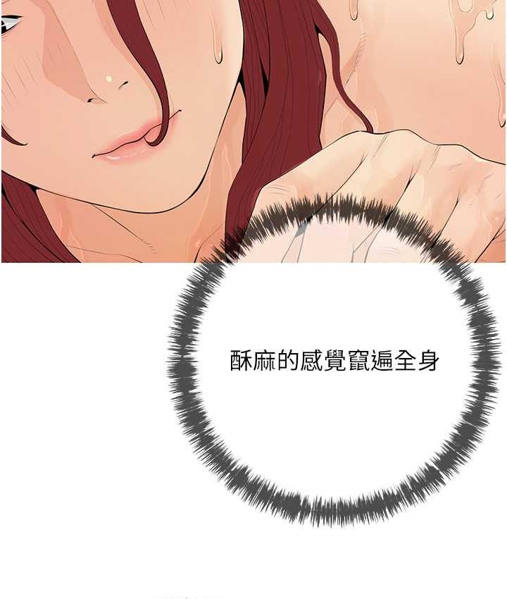 8P - 糖果爸爸的抢婚大作战