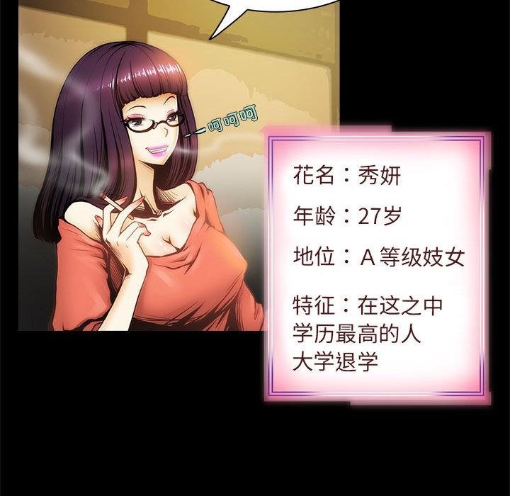 26P - 夜之花