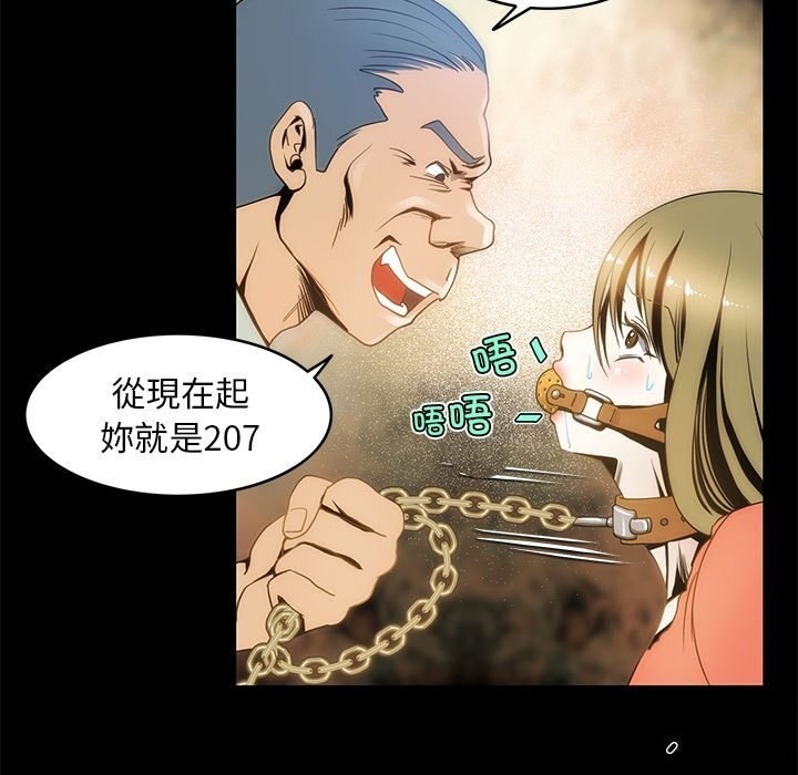49P - 夜之花