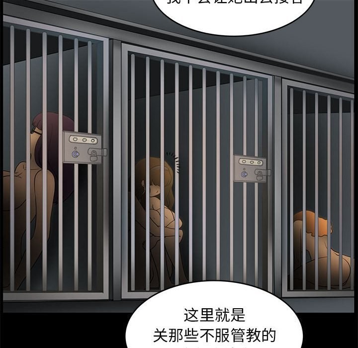 64P - 夜之花
