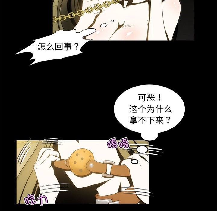 68P - 夜之花