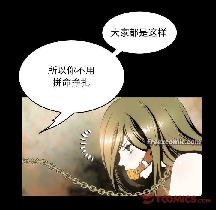 16P - 夜之花
