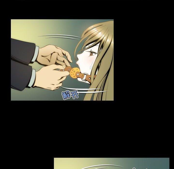 41P - 夜之花