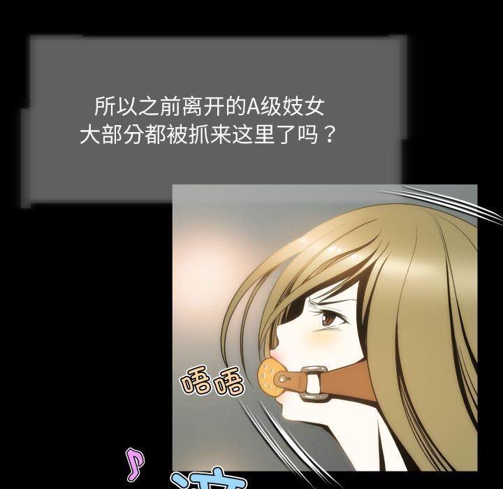 5P - 夜之花