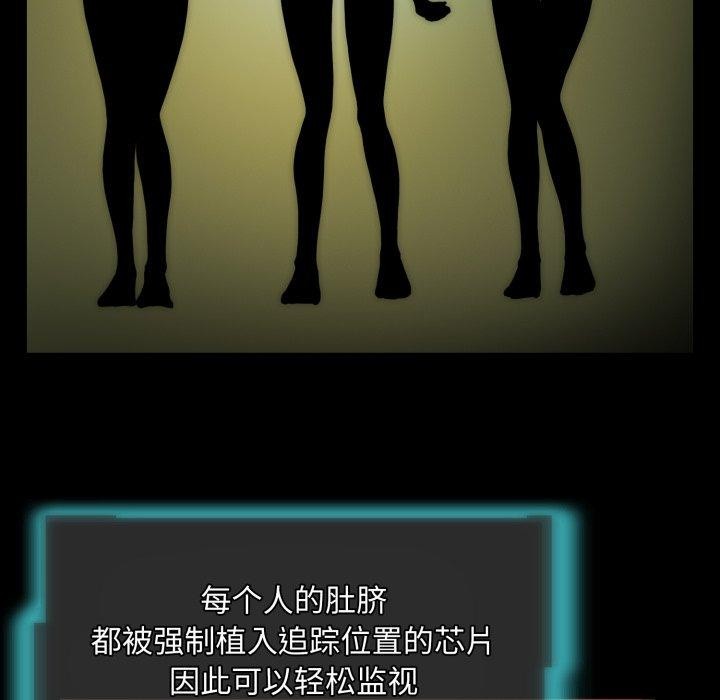 15P - 夜之花
