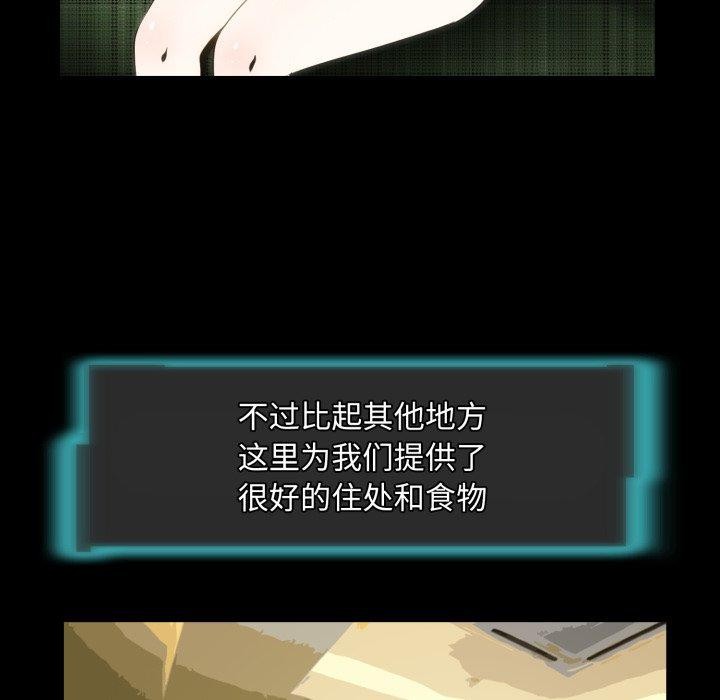 17P - 夜之花