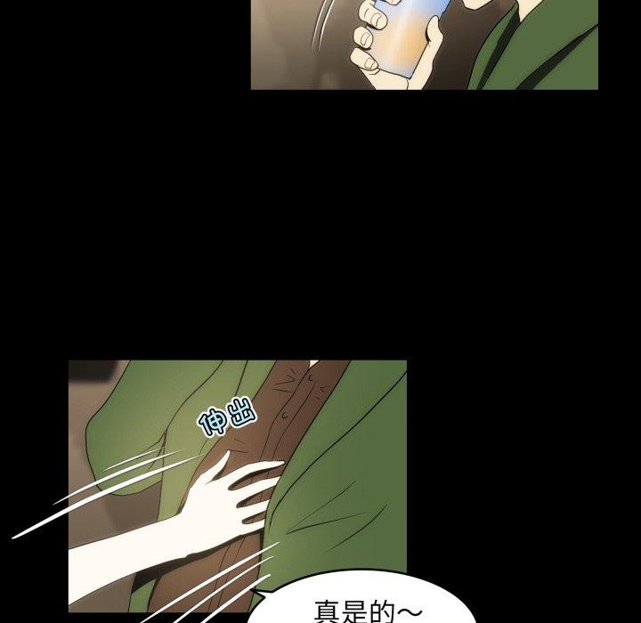 29P - 夜之花