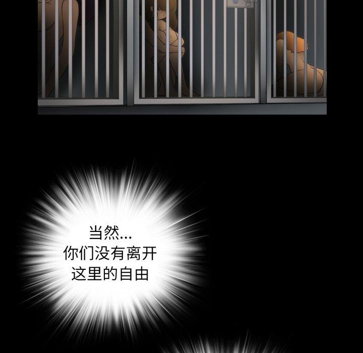 56P - 夜之花