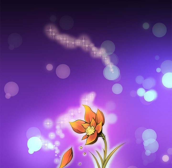 17P - 夜之花