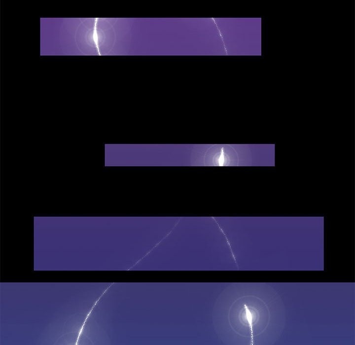 25P - 夜之花